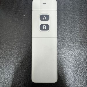 Remote Start Extra Remote