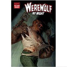 Werewolf At Night