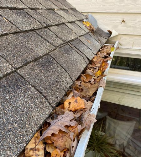 481668307_1294168035683564_6416601962355790_n